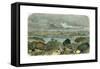 Sydney, New South Wales, Australia, C1870-null-Framed Stretched Canvas