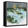 Sydney, New South Wales, Australia, C1885-C Wilkinson-Framed Stretched Canvas