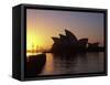 Sydney Opera House at Dawn, Sydney, Australia-David Wall-Framed Stretched Canvas