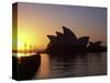 Sydney Opera House at Dawn, Sydney, Australia-David Wall-Stretched Canvas