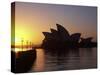 Sydney Opera House at Dawn, Sydney, Australia-David Wall-Stretched Canvas