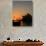 Sydney Opera House at Dawn, Sydney, Australia-David Wall-Photographic Print displayed on a wall