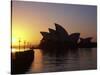 Sydney Opera House at Dawn, Sydney, Australia-David Wall-Stretched Canvas