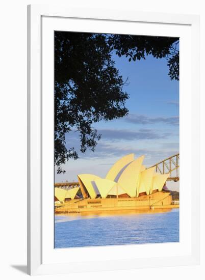 Sydney Opera House & Harbour Bridge, Darling Harbour, Sydney, New South Wales, Australia-Doug Pearson-Framed Photographic Print