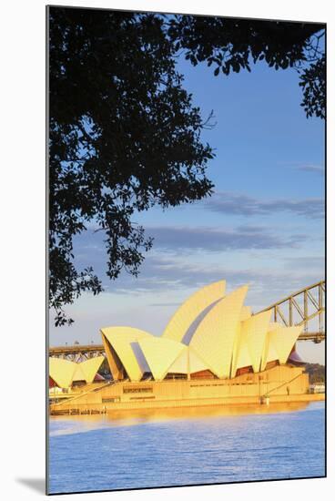 Sydney Opera House & Harbour Bridge, Darling Harbour, Sydney, New South Wales, Australia-Doug Pearson-Mounted Photographic Print