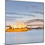 Sydney Opera House & Harbour Bridge, Darling Harbour, Sydney, New South Wales, Australia-Doug Pearson-Mounted Photographic Print