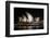 Sydney Opera House Lit Up at Night, Sydney, New South Wales, Australia-null-Framed Photographic Print