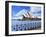 Sydney Opera House, Sydney, New South Wales, Australia-Miva Stock-Framed Premium Photographic Print