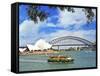 Sydney Opera House, Sydney, New South Wales, Australia-Miva Stock-Framed Stretched Canvas