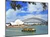 Sydney Opera House, Sydney, New South Wales, Australia-Miva Stock-Mounted Premium Photographic Print