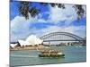 Sydney Opera House, Sydney, New South Wales, Australia-Miva Stock-Mounted Photographic Print