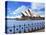 Sydney Opera House, Sydney, New South Wales, Australia-Miva Stock-Stretched Canvas