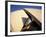 Sydney Opera House, UNESCO World Heritage Site, Sydney, New South Wales, Australia, Pacific-Mark Mawson-Framed Photographic Print