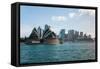 Sydney Opera House with Buildings at Circular Quay, Sydney, New South Wales, Australia-null-Framed Stretched Canvas