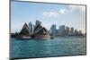 Sydney Opera House with Buildings at Circular Quay, Sydney, New South Wales, Australia-null-Mounted Photographic Print