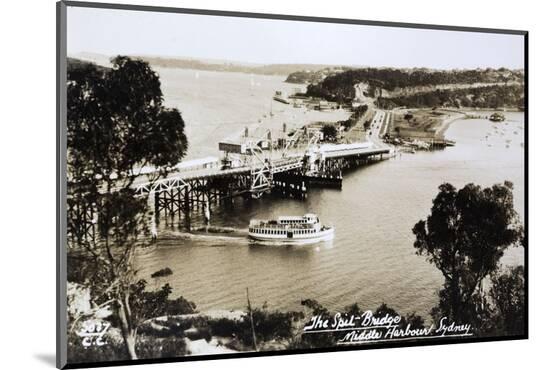 Photographic Print, , large