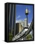 Sydney Tower and Monorail, Central Business District Buildings, Sydney, Australia-Walter Bibikow-Framed Stretched Canvas