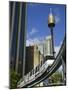 Sydney Tower and Monorail, Central Business District Buildings, Sydney, Australia-Walter Bibikow-Mounted Photographic Print