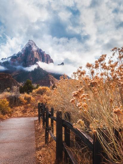 Premium Photographic Print, , large