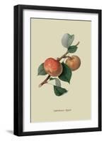 Sykehouse Apple-William Hooker-Framed Art Print