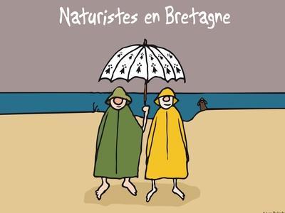 Regional Humor Posters Prints Paintings Wall Art Allposters Com
