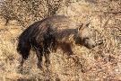 Just the Print