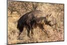 Wood Mount