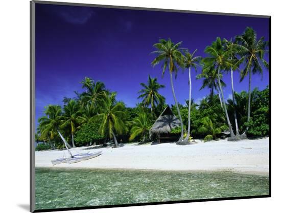 Photographic Print, , large