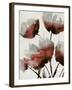 Sylvan II - Rouge-Tania Bello-Framed Giclee Print