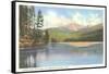 Sylvan Lake, Cody Road, Yellowstone National Park-null-Framed Stretched Canvas