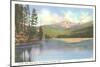 Sylvan Lake, Cody Road, Yellowstone National Park-null-Mounted Art Print