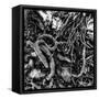 Canvas Black