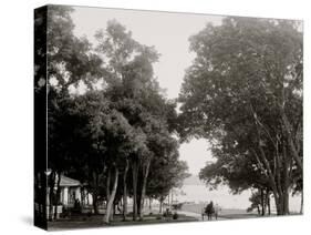 Sylvester Avenue, Manhansett I.E. Manhasset, Shelter Island, N.Y.-null-Stretched Canvas