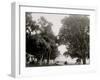 Sylvester Avenue, Manhansett I.E. Manhasset, Shelter Island, N.Y.-null-Framed Photo