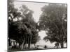 Sylvester Avenue, Manhansett I.E. Manhasset, Shelter Island, N.Y.-null-Mounted Photo