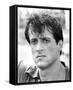 Sylvester Stallone-null-Framed Stretched Canvas