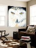 Regard inquiet du loup-Sylvia Audet-Loft Art