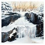 Cascades en sous-bois-Sylvia Audet-Loft Art