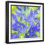 Black Frame