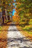 USA, New England, Vermont tree-lined roadway in Autumns Fall colors.-Sylvia Gulin-Photographic Print