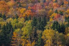 USA, New Hampshire, New England Fall colors on hillsides along highway 16 north of Jackson-Sylvia Gulin-Photographic Print