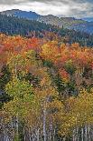 USA, New Hampshire just north of Jackson on highway 16 with the hillside covered in Autumns colors-Sylvia Gulin-Photographic Print