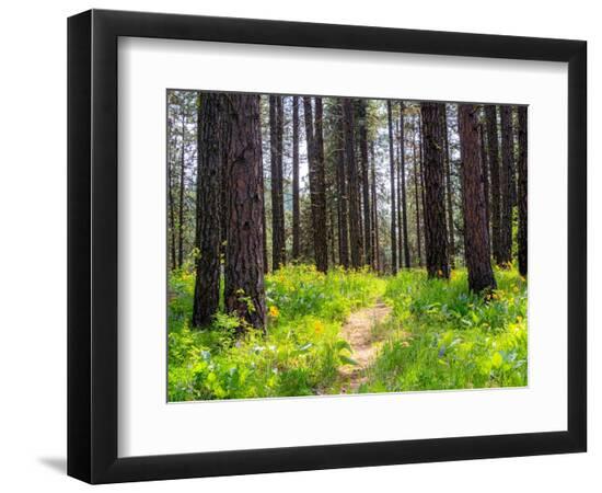 Premium Photographic Print, , large