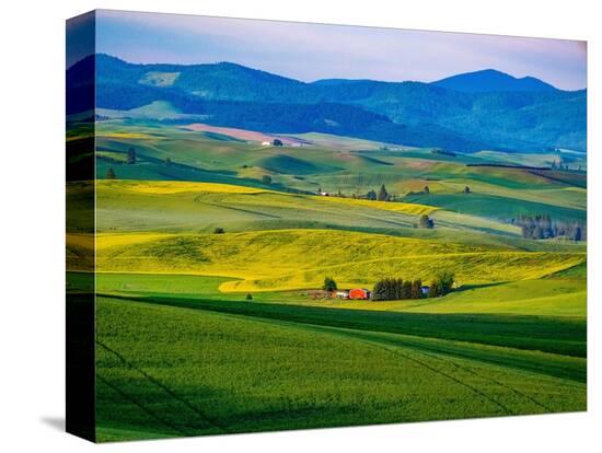 Stretched Canvas Print, , large