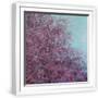 White Frame