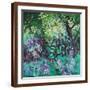 Brown Frame
