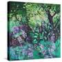 Stretched Canvas