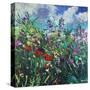 Stretched Canvas