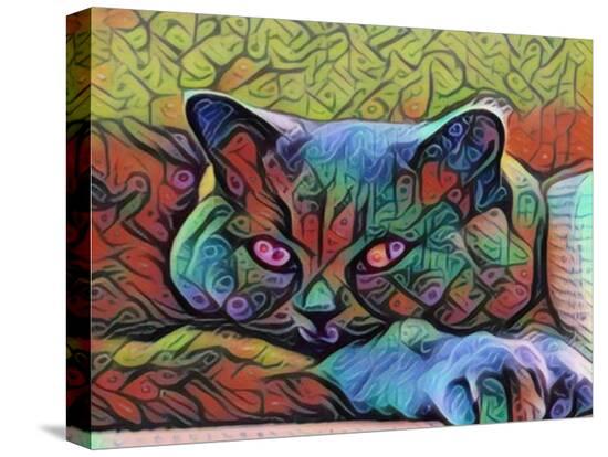 Stretched Canvas Print, , large