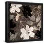 Essential Black